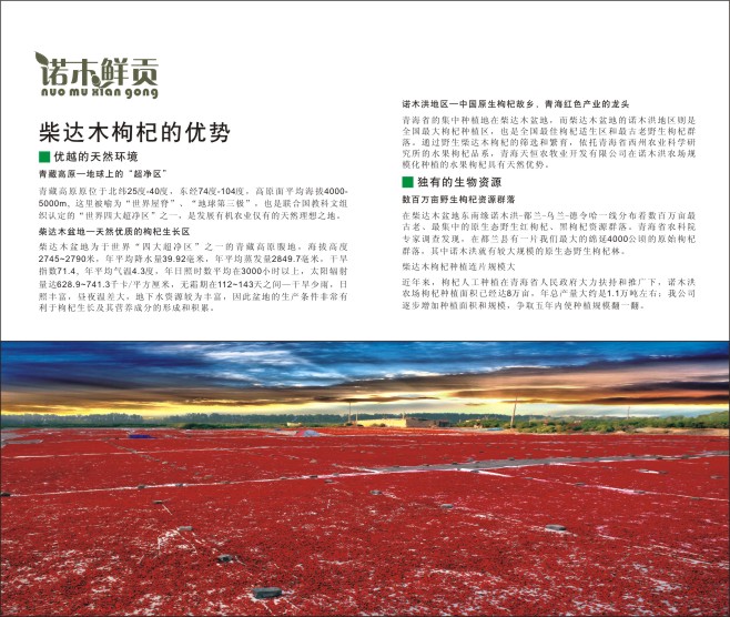 &#112;&#103;&#30005;&#23376;&#27169;&#25311;&#22120;&#40;&#35797;&#29609;&#28216;&#25103;&#41;&#23448;&#26041;&#32593;&#31449;