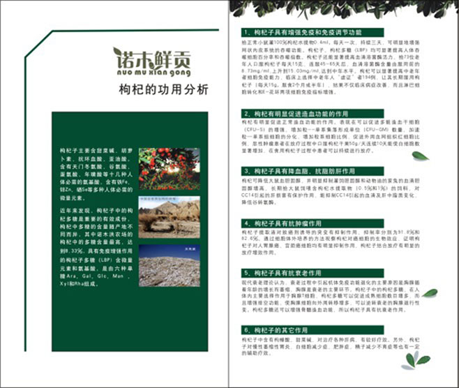 &#112;&#103;&#30005;&#23376;&#27169;&#25311;&#22120;&#40;&#35797;&#29609;&#28216;&#25103;&#41;&#23448;&#26041;&#32593;&#31449;