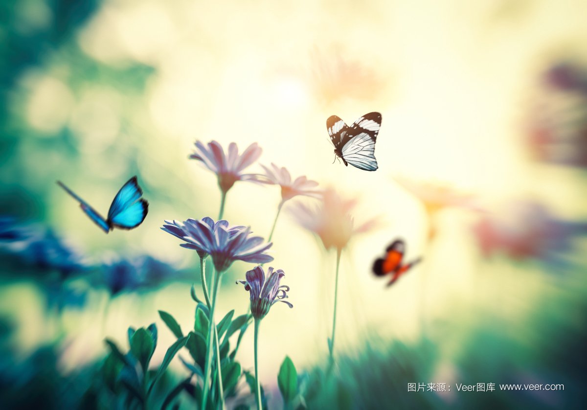 &#112;&#103;&#30005;&#23376;&#27169;&#25311;&#22120;&#40;&#35797;&#29609;&#28216;&#25103;&#41;&#23448;&#26041;&#32593;&#31449;
